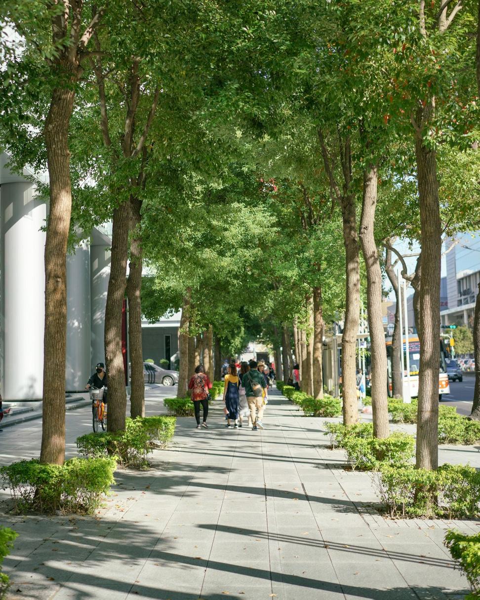 Bloor Street Revitalization