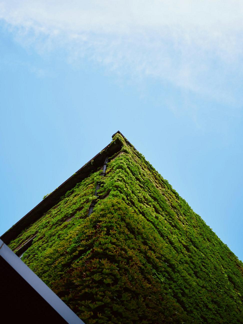 Sustainable green architecture